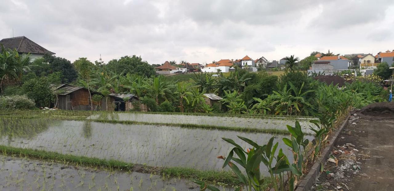 Pd Bali Guesthouse Canggu Εξωτερικό φωτογραφία