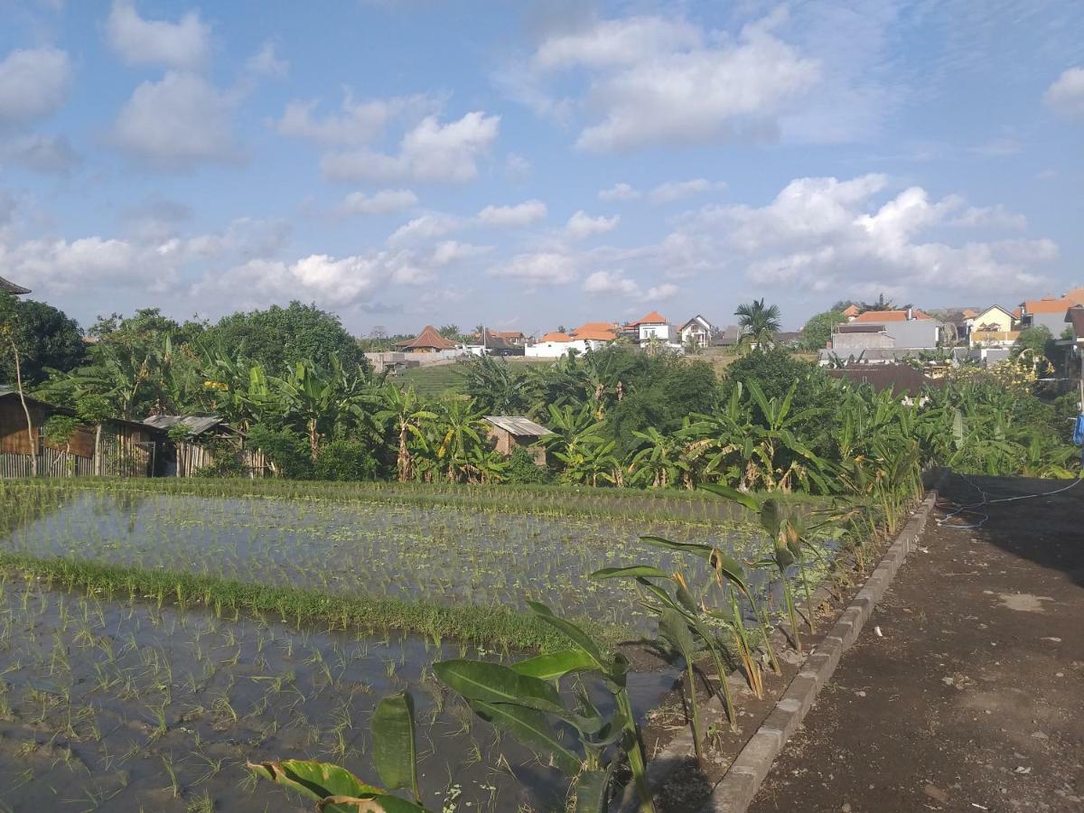 Pd Bali Guesthouse Canggu Εξωτερικό φωτογραφία